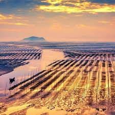 Mochtar Lubis avatar